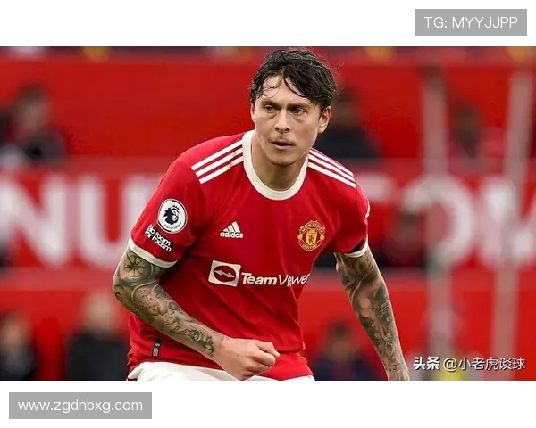 英超明星球员排名与表现