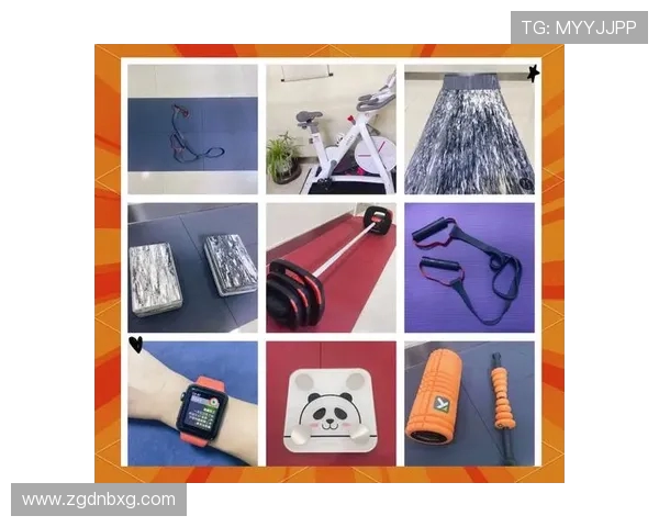 莱美健身器材详细介绍：莱美品牌健身器材系列全解析