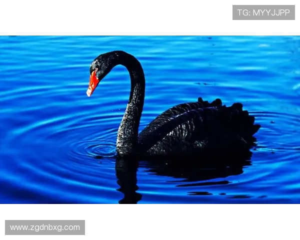 “天鹅”是哪个英超球队的别称及球队历史背景