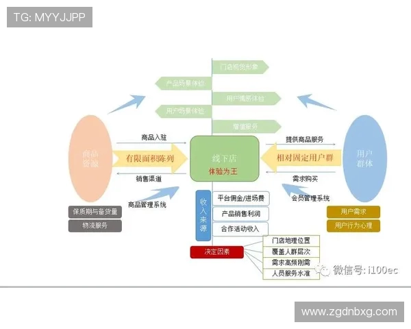 德甲球队的运营方案与市场策略分析