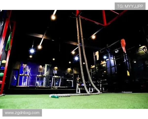 篮球运动在社交平台传播中呈现出哪些受众行为新趋势