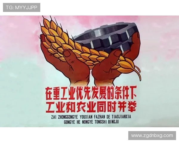 围绕1956年世界杯风云变幻与时代记忆的深度回望历史启示录篇