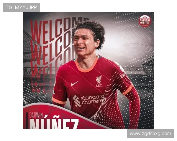 阿里平台售卖的英超球衣是否为水货解析